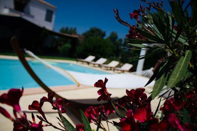 Villa Silvia Apartment أولميدو المظهر الخارجي الصورة